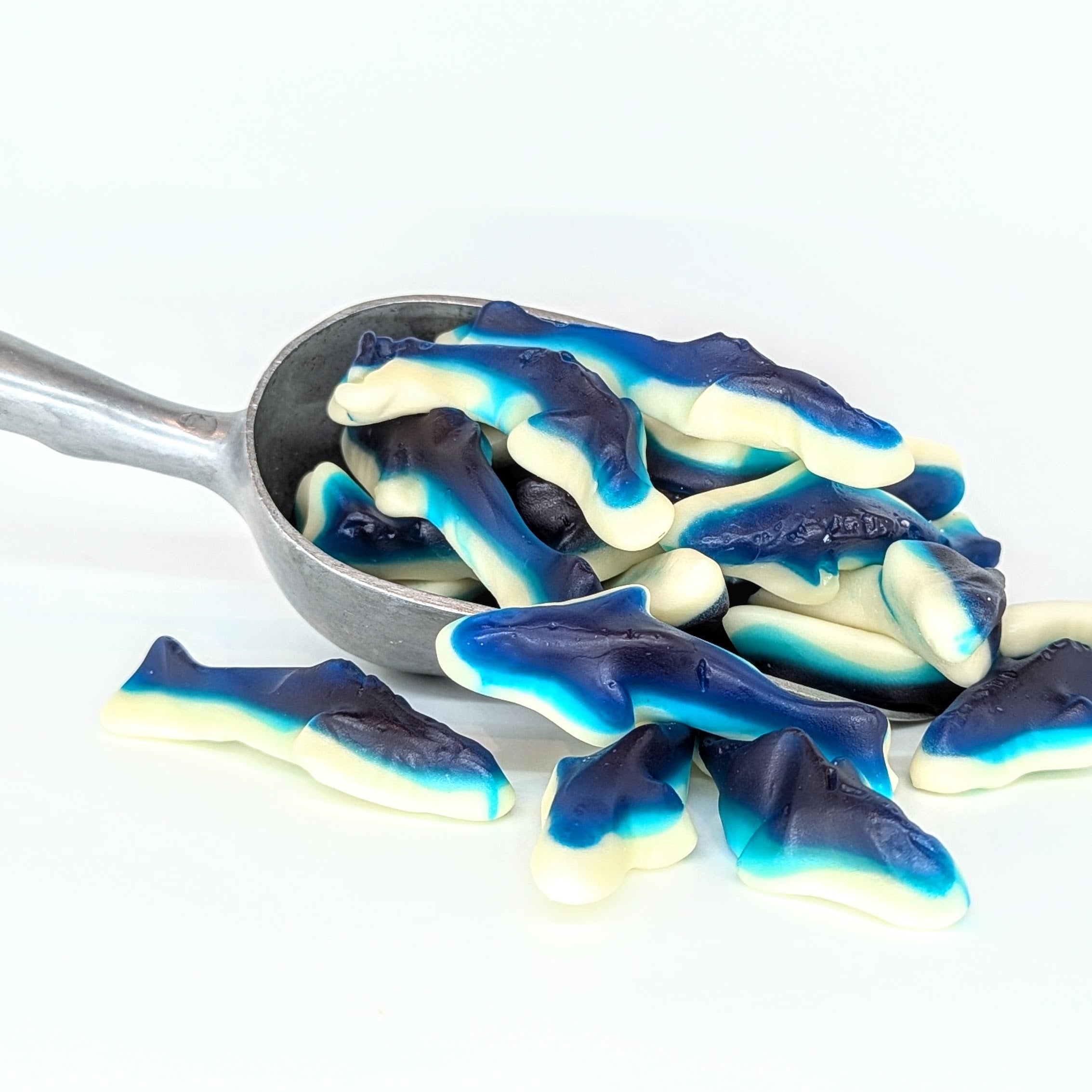 Gummy Sharks